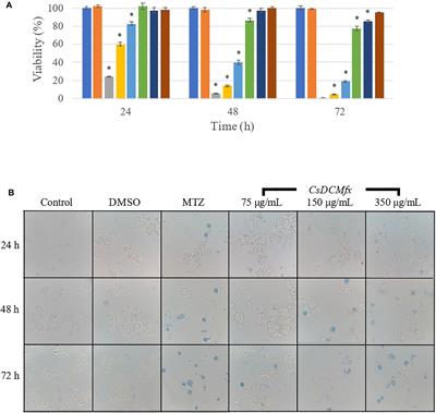 The Dichloromethane Fraction of Croton sonorae, A Plant Used in Sonoran Traditional Medicine, Affect Entamoeba histolytica Erythrophagocytosis and Gene Expression